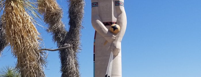 World's Tallest Kachina Doll is one of World's Largest ____ in the US.