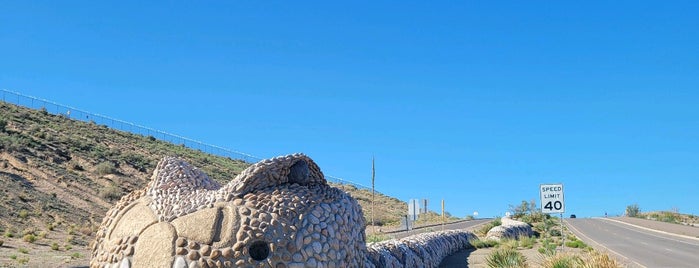 The Giant Rattlesnake is one of south west road trip.