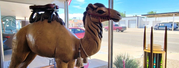 Motel Safari is one of New Mexico.