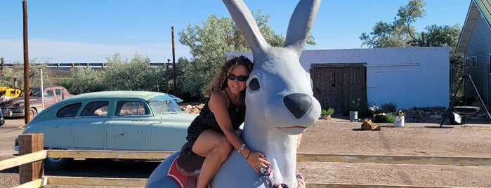 Jackrabbit Trading Post is one of Route 66.