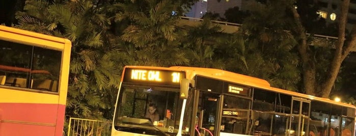 SBS Transit: Nite Owl 1N is one of TPD "The Perfect Day" Bus Routes (#01).