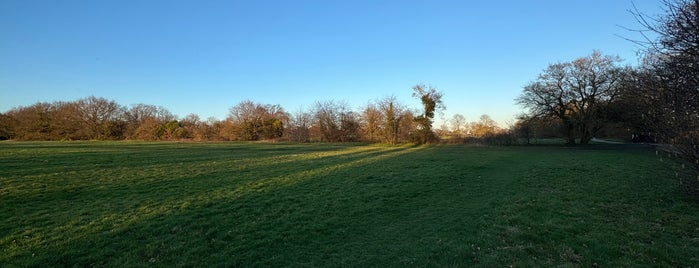 Avery Hill Park is one of parkrun - London and the South East.