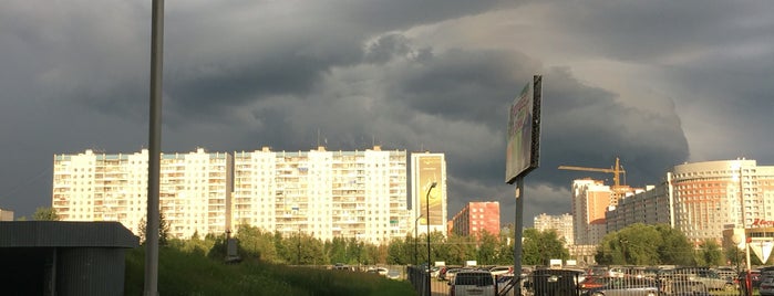 "Щенячья радость" is one of Tempat yang Disukai Andrey.