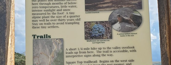 Guanella Pass Summit is one of Zach’s Liked Places.