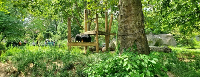 Bear and Cubs is one of Public Art in Philadelphia (Volume 1).