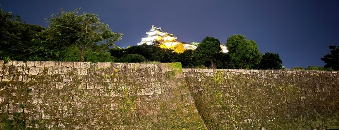 Wakayama Castle is one of Castleriffic!.