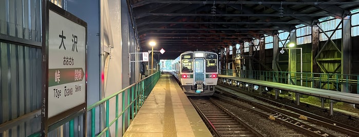 Ōsawa Station is one of 停車したことのある駅.