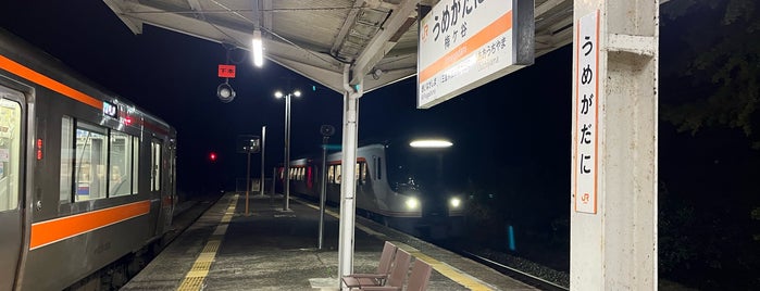 Umegadani Station is one of 紀勢本線.