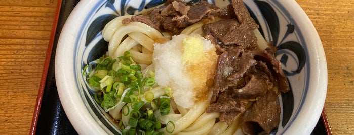 手打ちうどん かめや is one of 高知麺類リスト.
