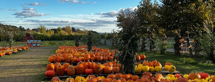 Tougas Family Farm is one of To Check Out in Worcester/Boston.