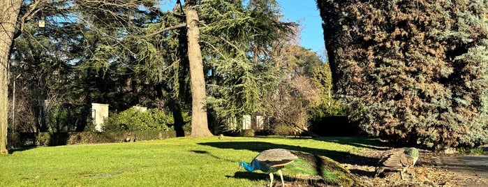 Jardines de Cecilio Rodríguez is one of Madrid.