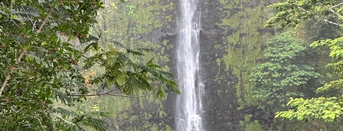 Akaka Falls is one of Lieux qui ont plu à A.