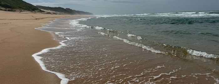 Wilderniss Beach is one of Lugares favoritos de Nieko.
