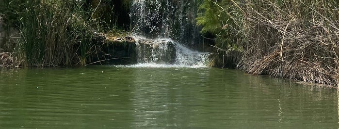 Africa Safari Park is one of Cairo visits.