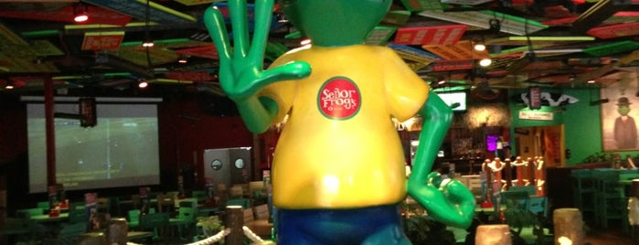 Señor Frog's is one of World of Camp.