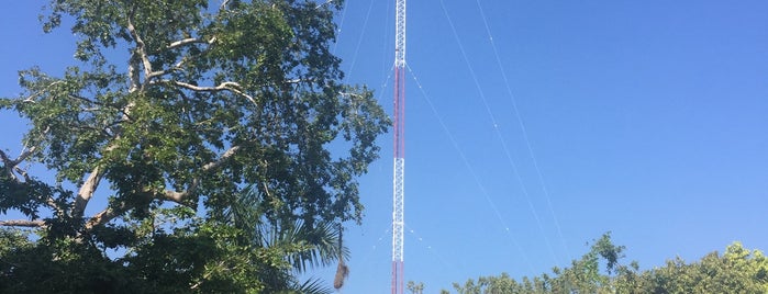 Radio Universidad de Guadalajara is one of Universidad de Guadalajara.