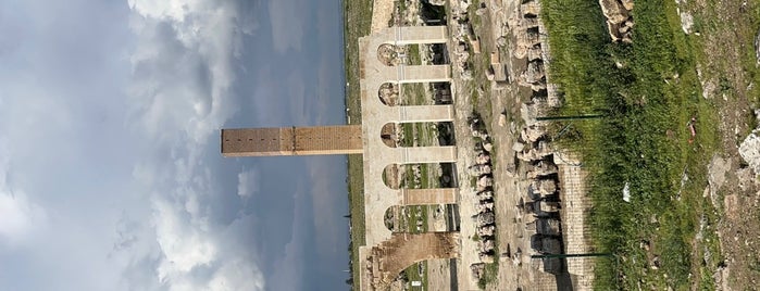 Harran Ulu Camii is one of urfa.