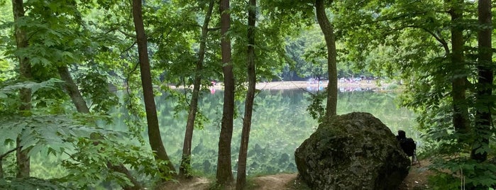 Teşvikiye Ormanı is one of Lieux qui ont plu à Gizemli.