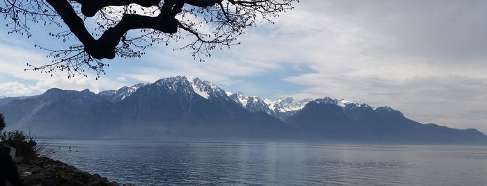 Château de Chillon is one of Nastyaさんのお気に入りスポット.
