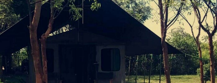 Mahoora  Luxury Camping is one of Sri Lanka.