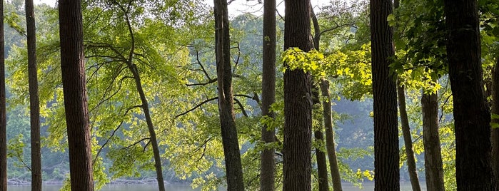 Lums Pond State Park is one of Date Ideas ~ 1.