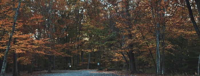 Catoctin Wildlife Preserves and Zoo is one of Daytime Outdoor Hangout.