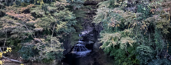 亀岩の洞窟 is one of 千葉県.