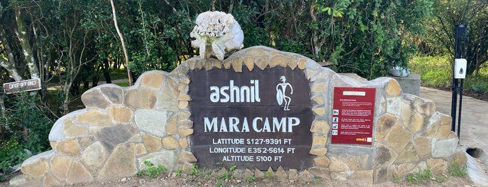Ashnil Mara Camp is one of Africa.