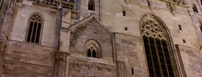 Cattedrale di S. Stefano is one of Wien.