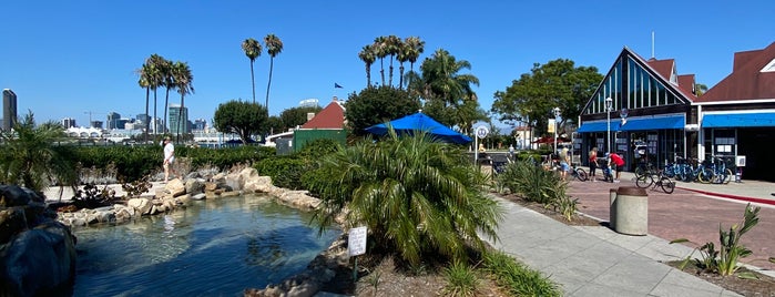 San Diego bike and kayak is one of Por conocer.