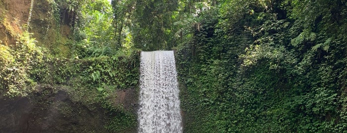 Tukad Cepung Waterfall is one of Endonezya Bali.