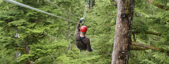 Cape Town Zipline is one of Cape Town.