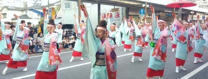 よさこい祭り