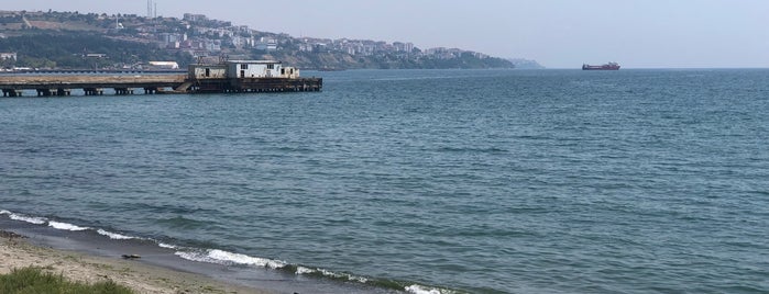 Tekirdağ Altinova Sahil is one of Posti salvati di Ab.