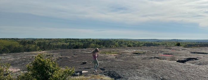 Davidson-Arabia Mountain Nature Preserve is one of Nature.