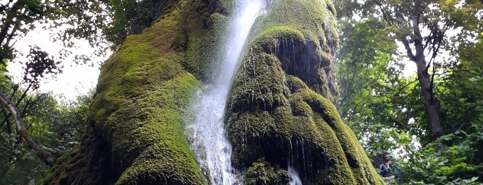 Малієвецький водоспад is one of Куди б ще поїхати.