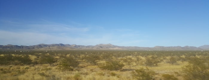 Joshua Tree Forest is one of Lasvegas.