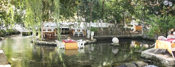 Pınarbaşı Restaurant is one of Tempat yang Disukai Fuat.