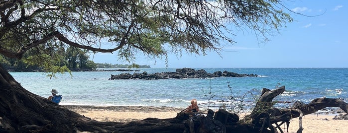 Waialea Beach (Beach 69) is one of Hawai'i.