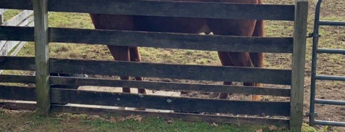 Springton Manor Farm is one of Chester County Parks.