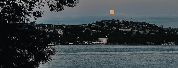 Arşipel Balıkçısı is one of Istanbul to go.