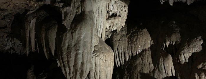 Oregon Caves National Monument is one of Bay Area - Portland - Seattle.