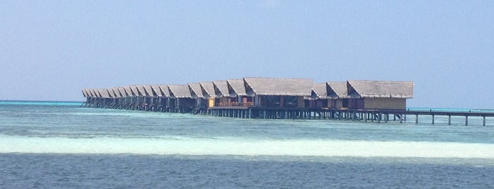 Adaaran Select Hudhuranfushi is one of ÖsFkd 님이 좋아한 장소.