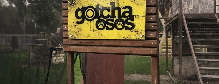 Gotcha Osos is one of Orte, die David gefallen.
