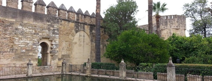 Alcázar de los Reyes Cristianos is one of Córdoba.