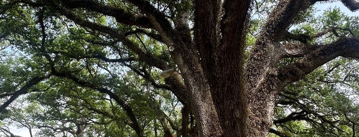 Oak Alley Plantation is one of 1.