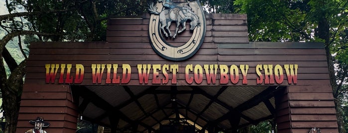 Wild Wild West Cowboy Show is one of ١٠-١٣ (بونشاك).