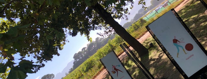 Blaauwklippen Wine Estate is one of Cape Town, South Africa.