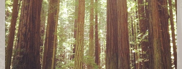 Humboldt Redwood State Park - North is one of Roadtrip 101.