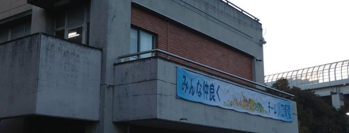 埼玉県立川口青陵高等学校 is one of 県立学校(埼玉).